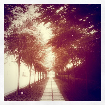 w_bvong.com_pix_instagram_7
